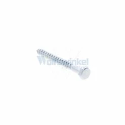 Houtdraadbout Vz 6x 60 Doos 200st