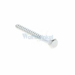 Houtdraadbout Vz 8x 80 Doos 200st