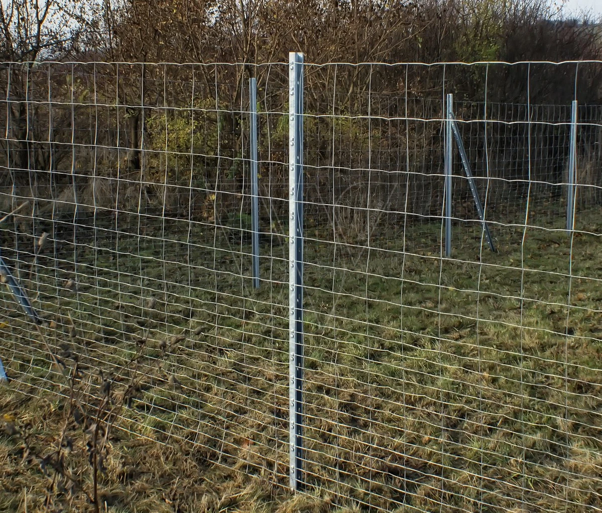 Nordforest Cw40 Wild Raster Paal 210 Cm 1 Nordforest Cw40 Wild Raster Paal 210 Cm