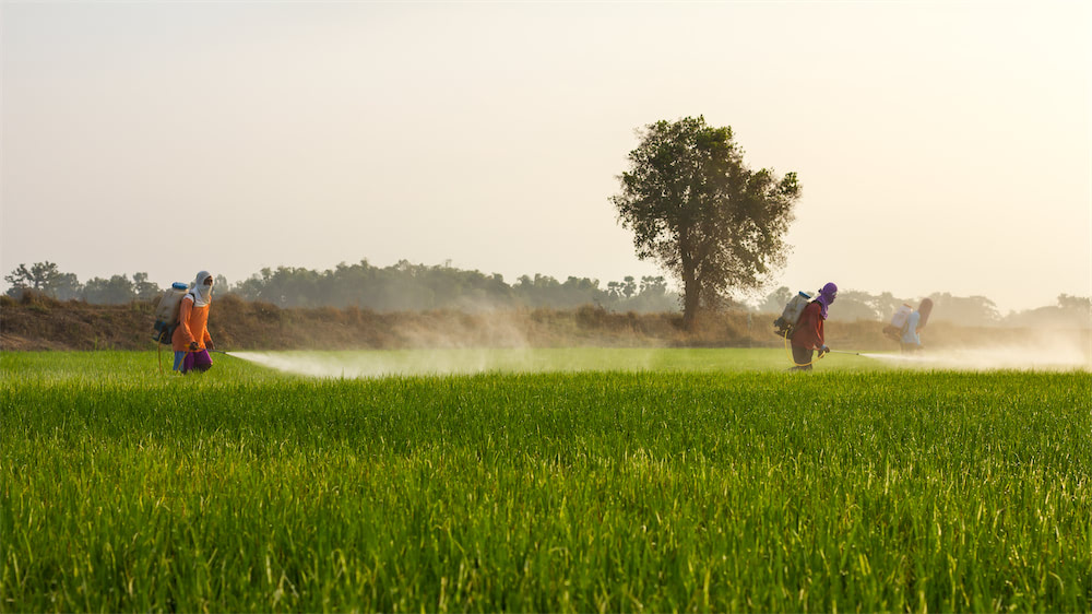 Silky || KWB || Spax Verkoop 2 Silky || KWB || Spax Verkoop -Silky || KWB || Spax Verkoop Bestrijdingsmiddelen2